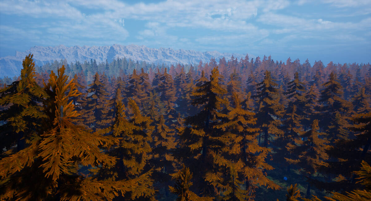 Скриншот 5 к игре Forest Of Fear