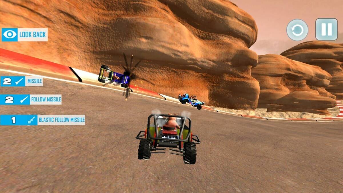 Скриншот 5 к игре Karting with Animals