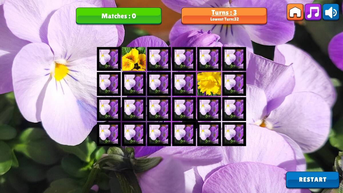 Скриншот 7 к игре OG Memory: Spring 2K24