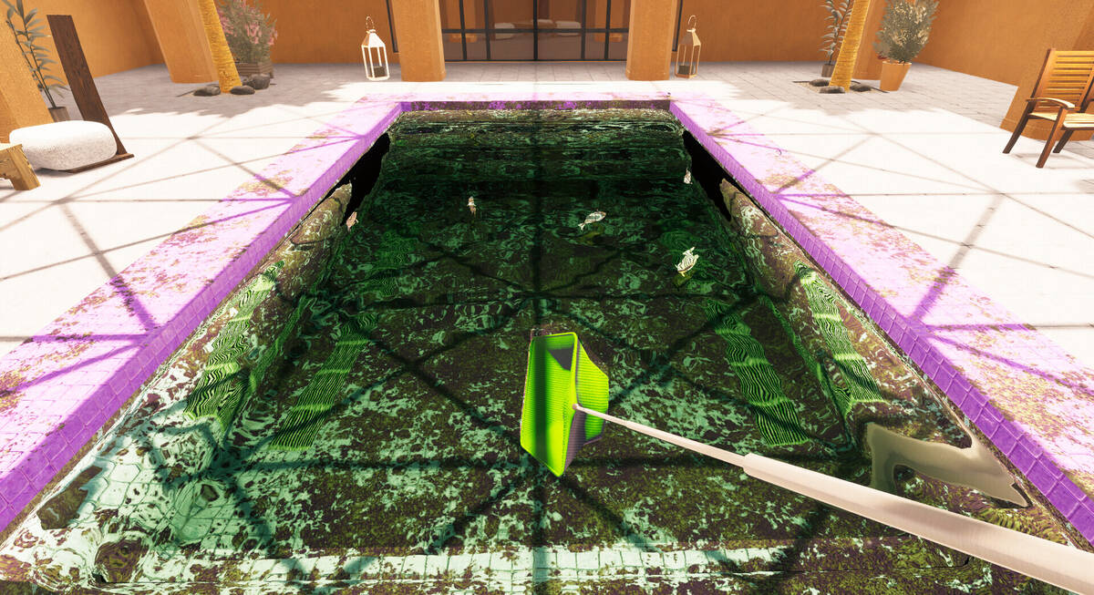 Скриншот 5 к игре Quackdzilla: Pool Cleaning Simulator