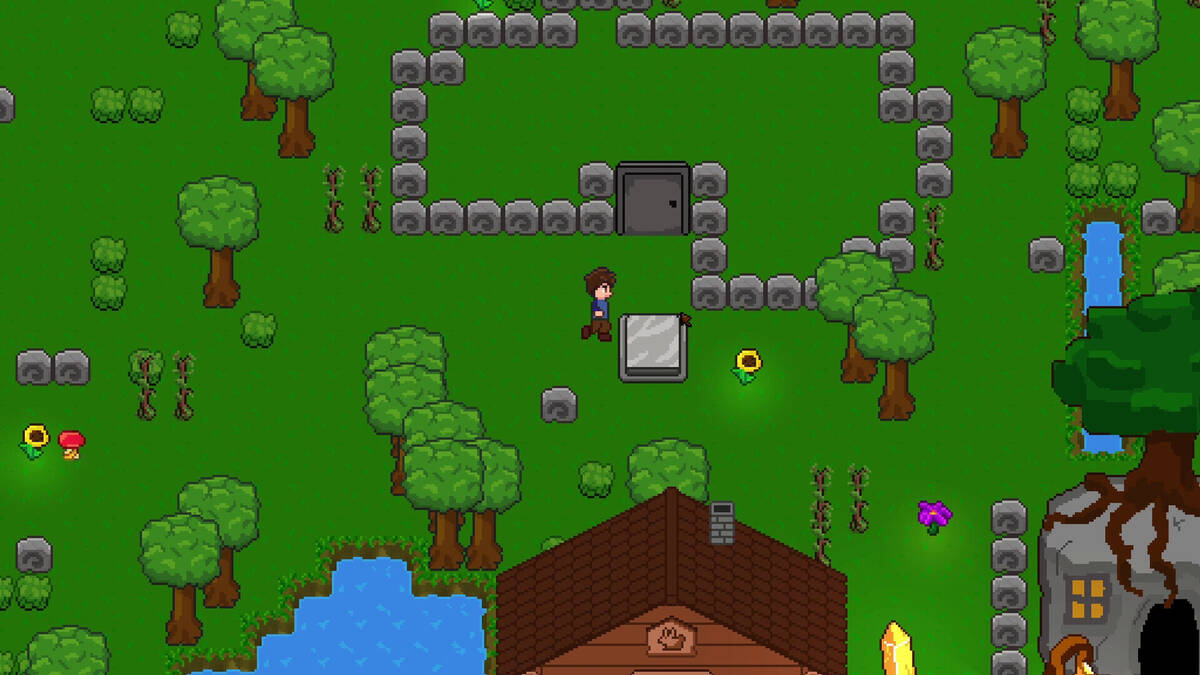 Скриншот 7 к игре Topworld