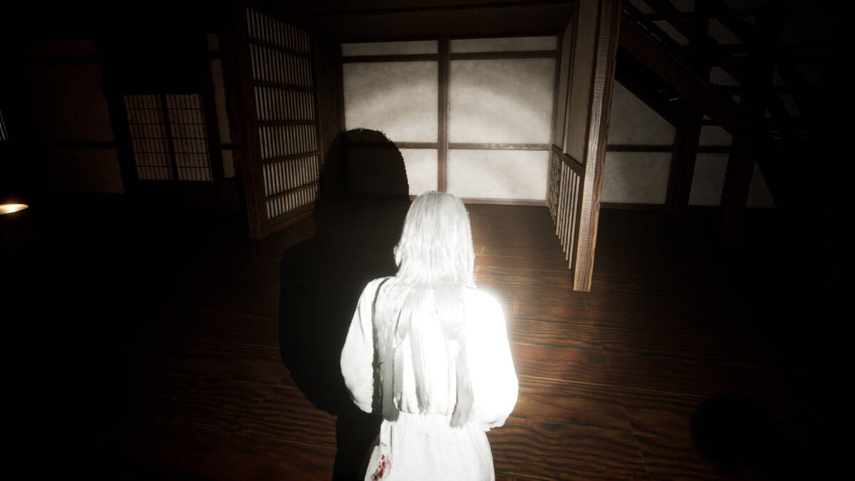 Скриншот 8 к игре The Ghost of Nichishima