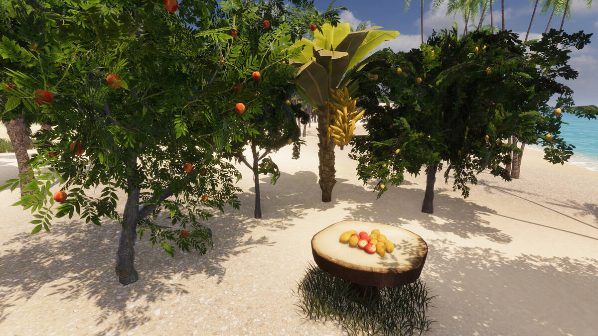 Скриншот 5 к игре Tropical Resort Simulator
