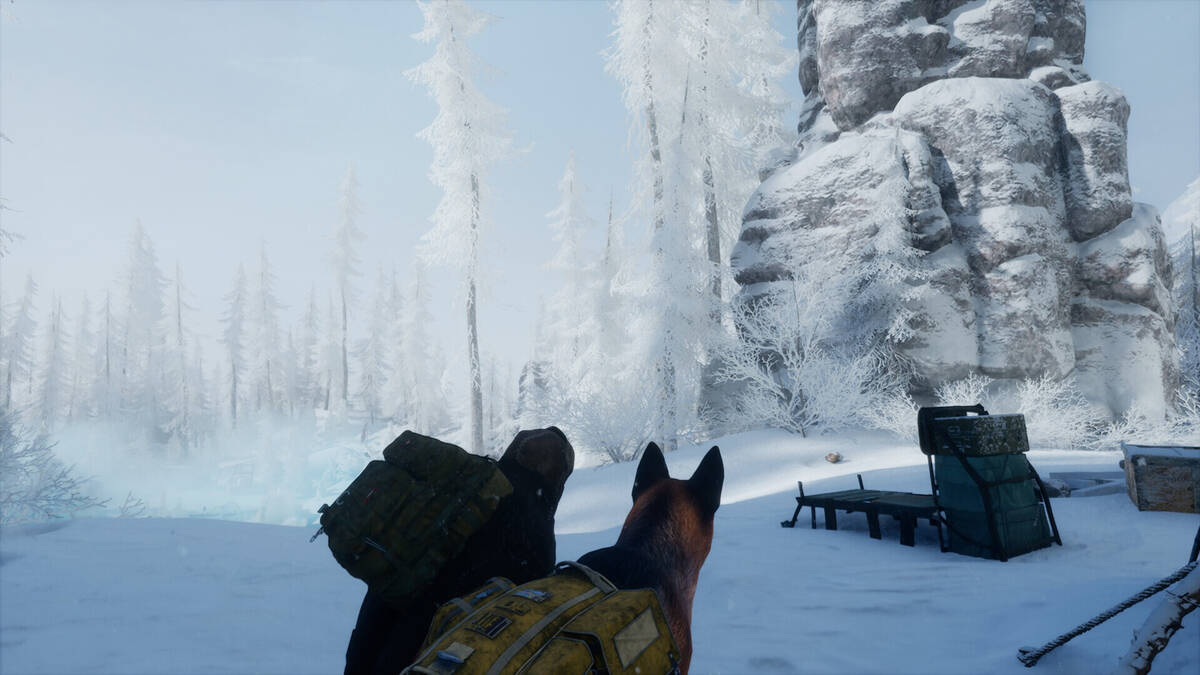 Скриншот 5 к игре Permafrost