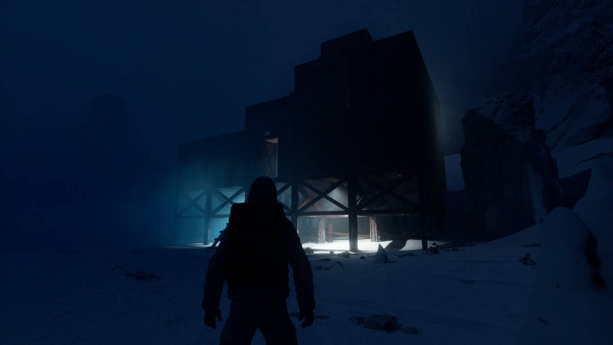 Скриншот 8 к игре Permafrost