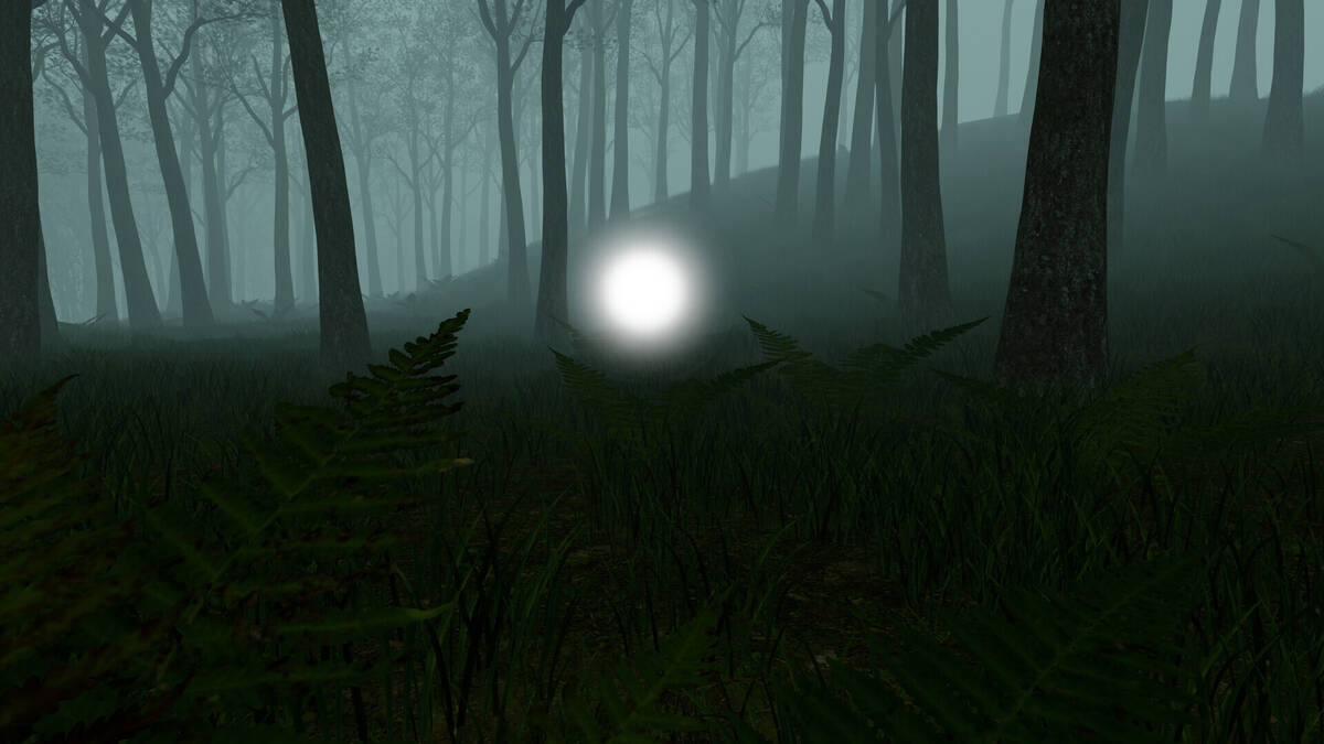 Скриншот 5 к игре Come Home: Ghost Stories from Bangladesh