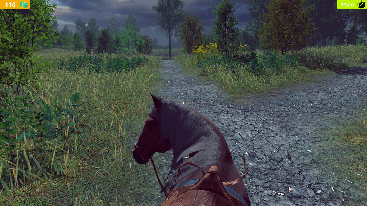 Скриншот 8 к игре СИМУЛЯТОР КОНЕФЕРМЫ - Horse Farm Simulator
