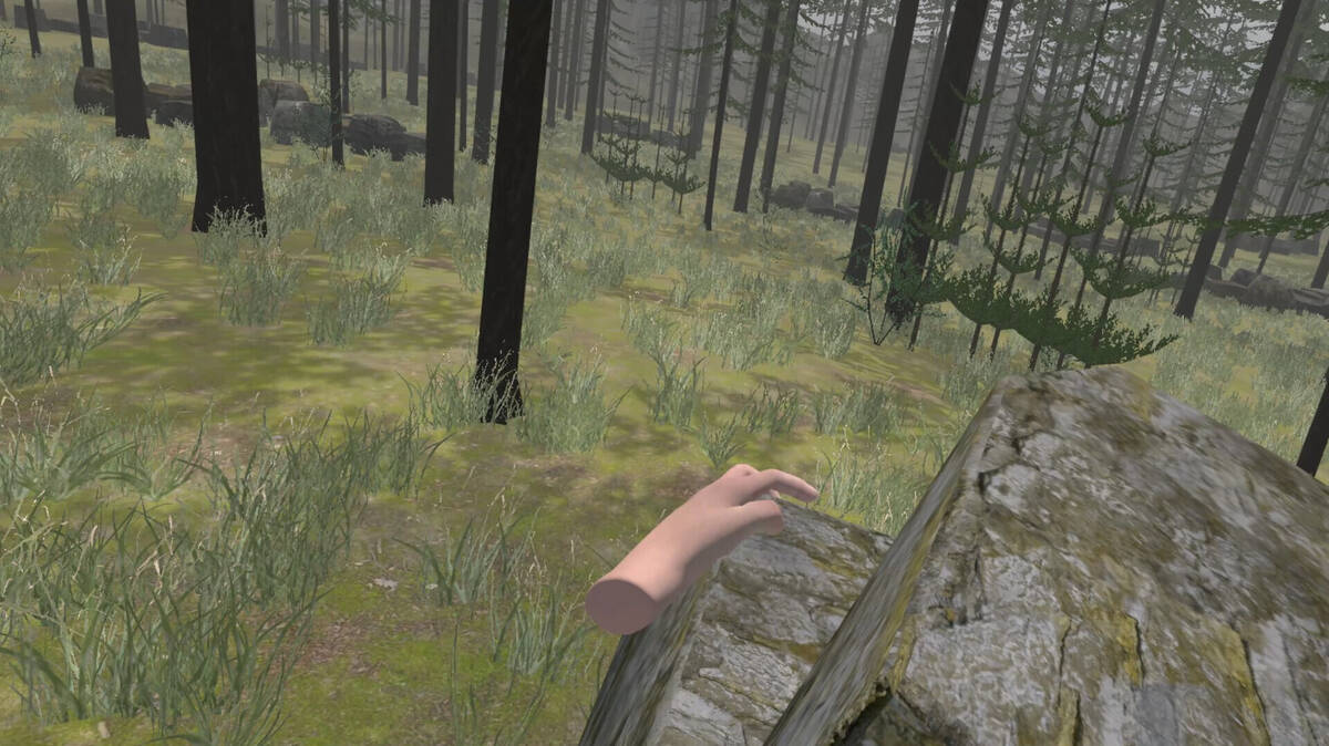 Скриншот 7 к игре Forest Construction VR