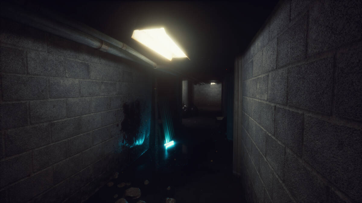 Скриншот 5 к игре The Unseen