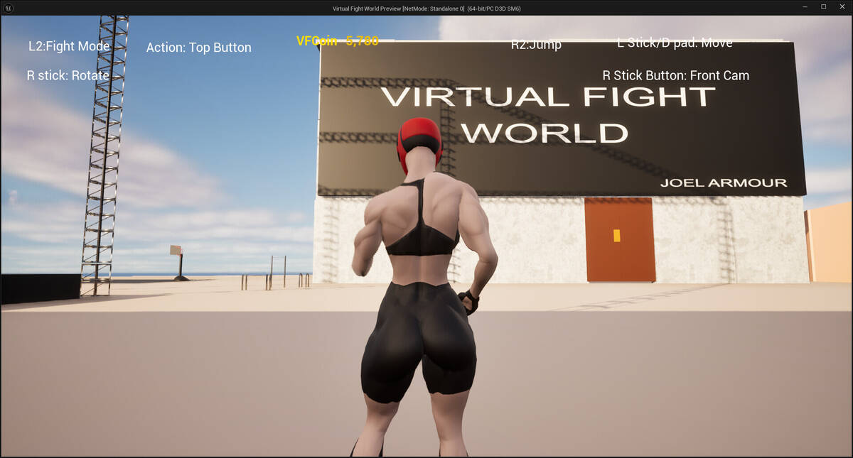 Скриншот 7 к игре Virtual Fight World