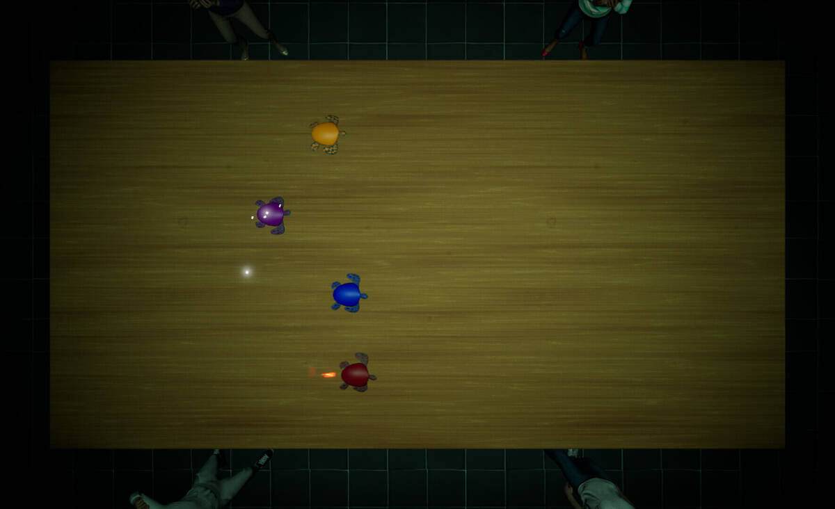 Скриншот 5 к игре Underground Turtle Races