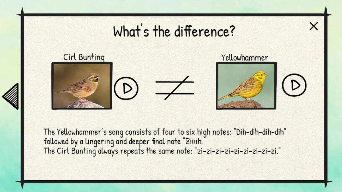 Скриншот 8 к игре BirdLingo: A birdsong learning game