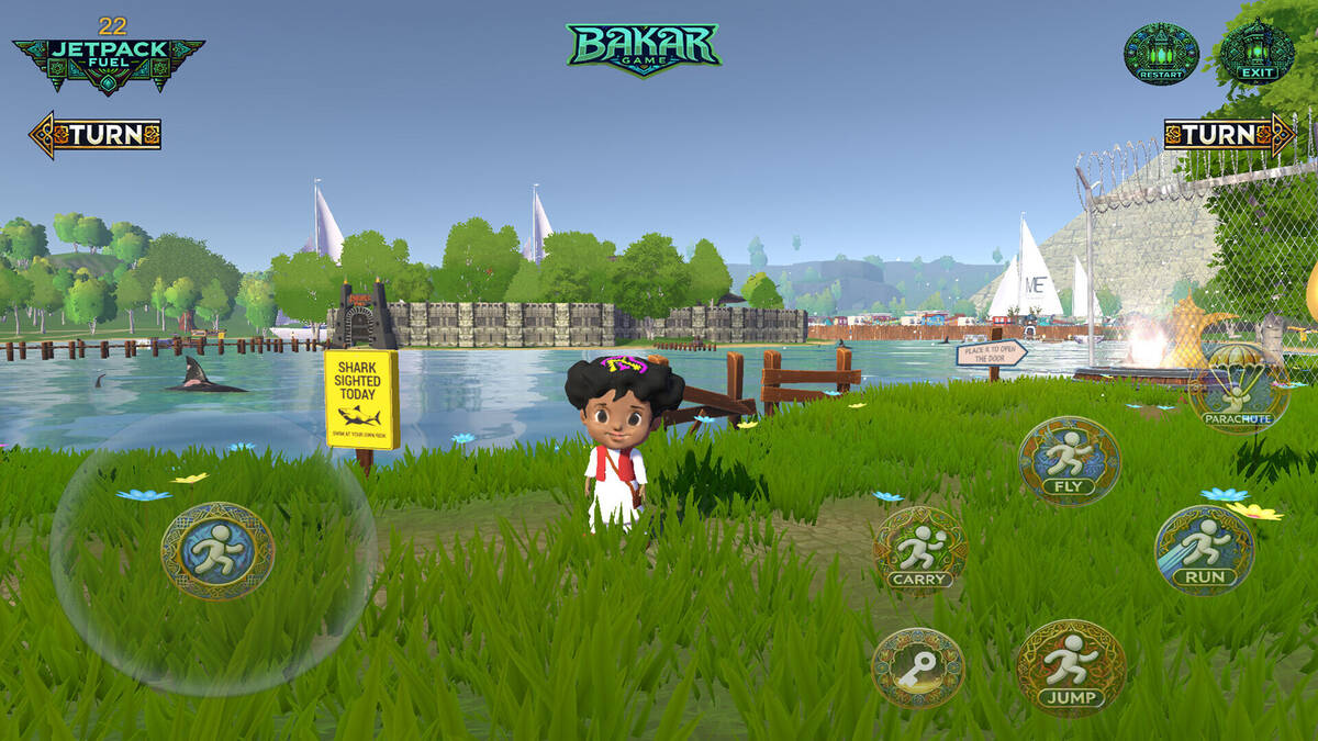 Скриншот 6 к игре Bakar Game