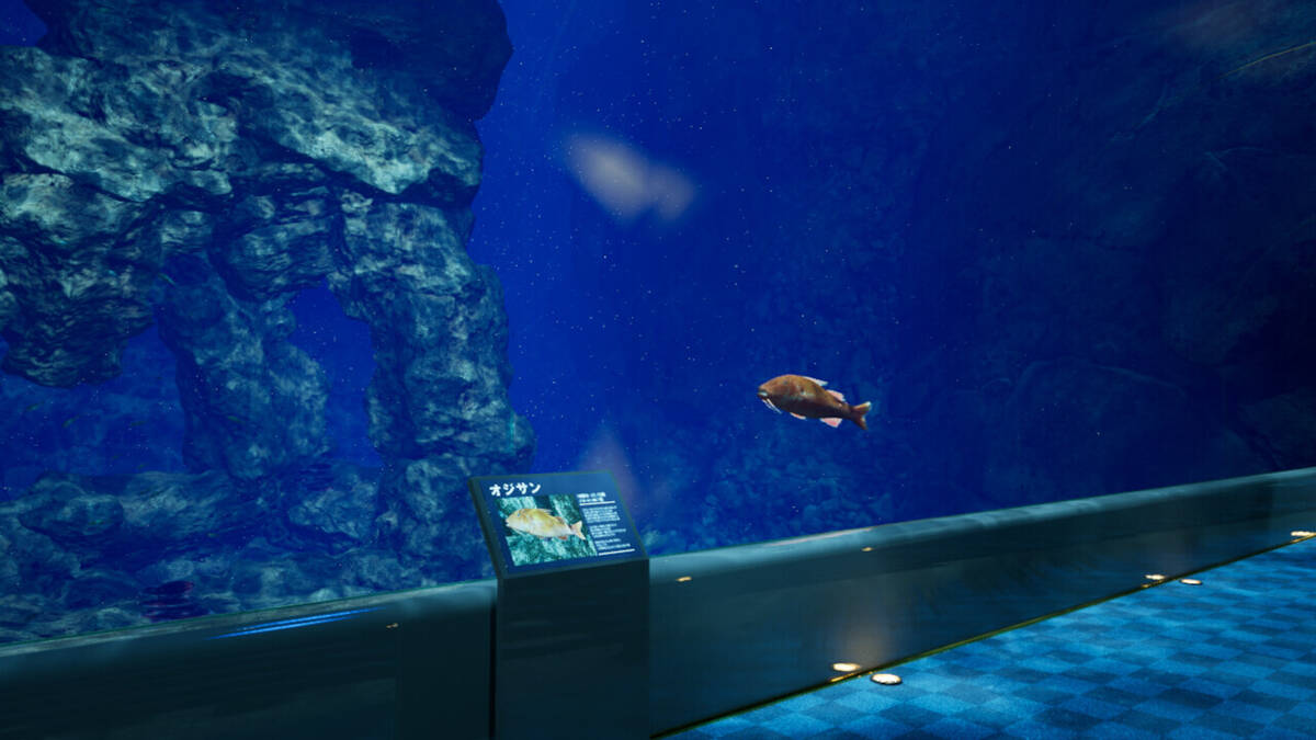 Скриншот 5 к игре 8月32日の水族館