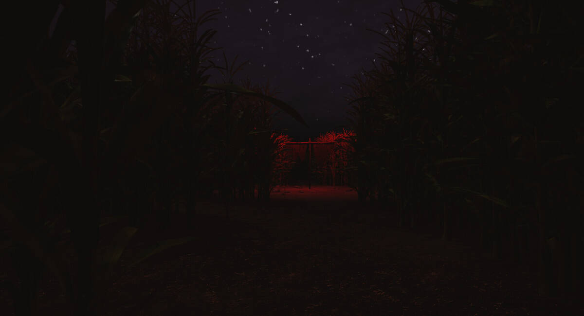 Скриншот 5 к игре CornField