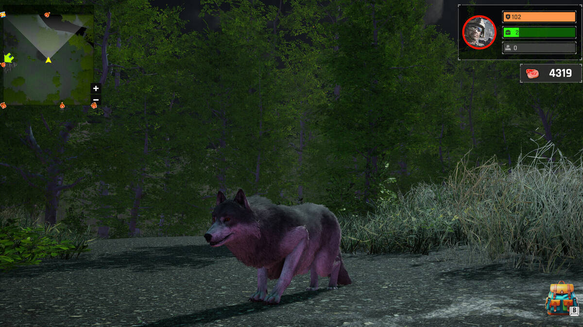 Скриншот 6 к игре Wolf Simulator: Silent Paws
