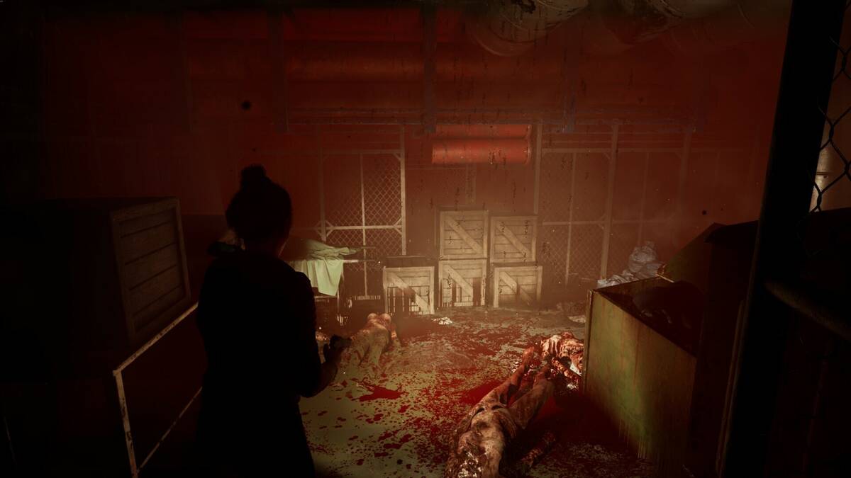Скриншот 5 к игре Outbreak: Shades of Horror Chromatic Split