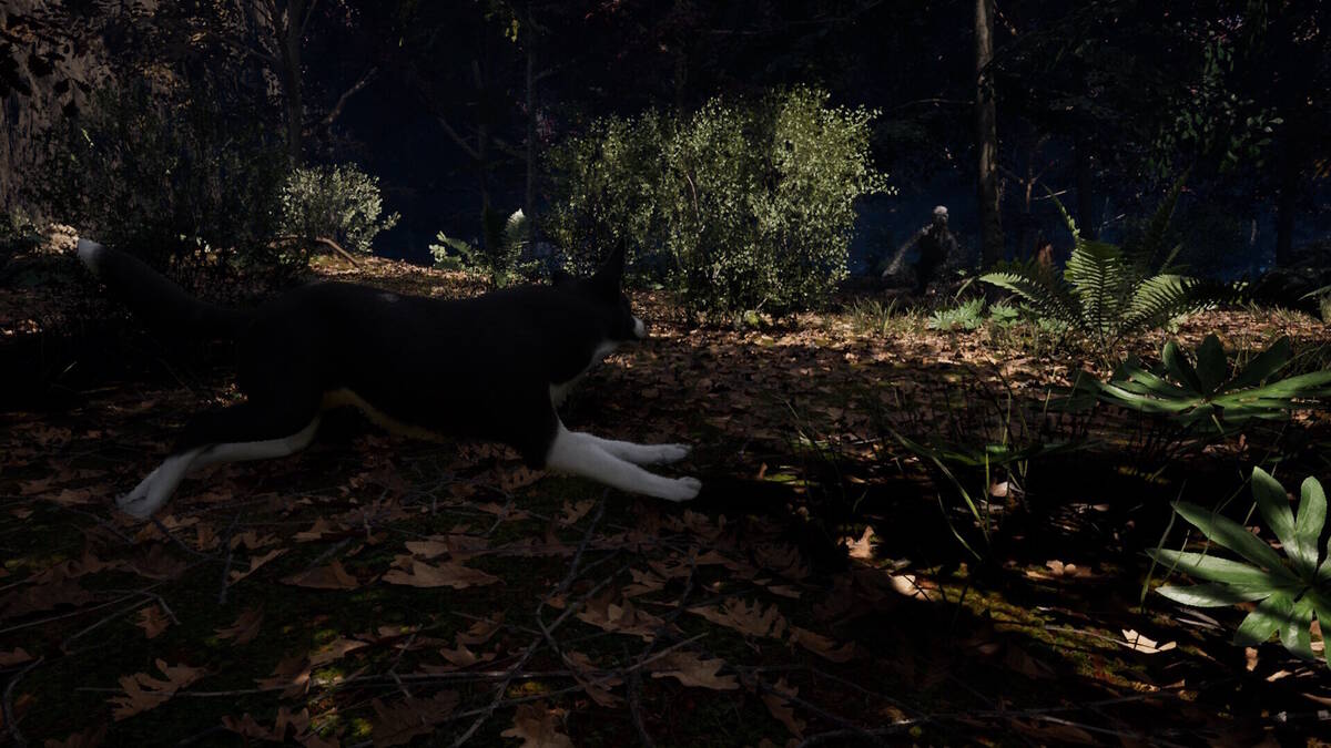 Скриншот 5 к игре The Good Dog: Chasing Shadows