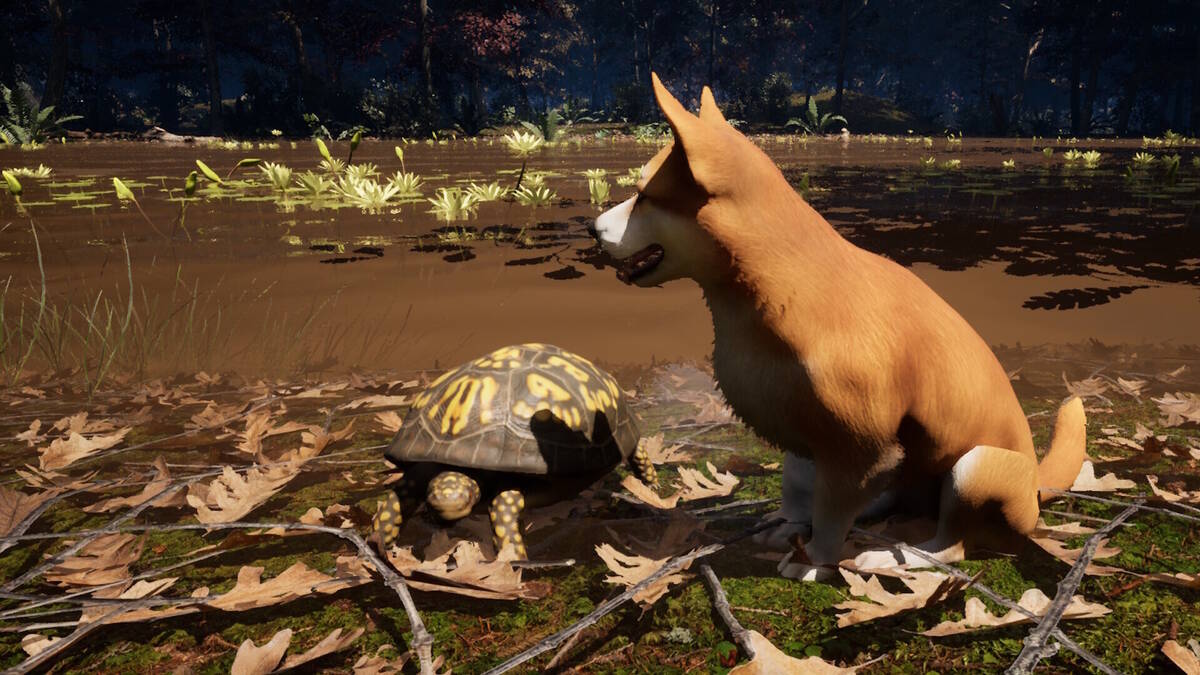Скриншот 8 к игре The Good Dog: Chasing Shadows