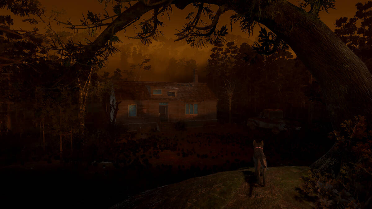 Скриншот 8 к игре The House of Hamelin