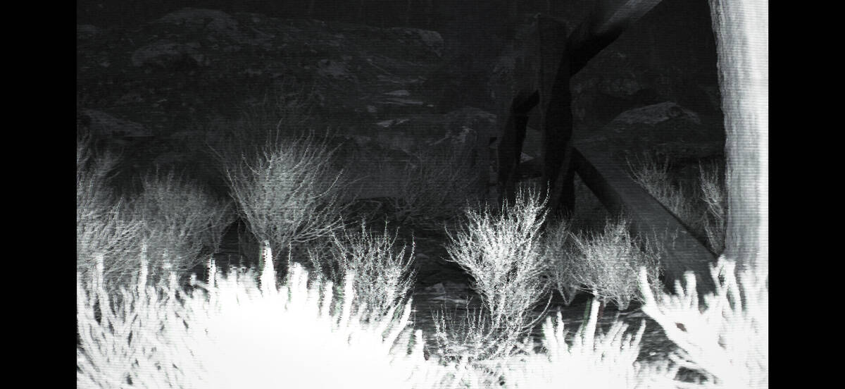 Скриншот 5 к игре TRAILCAM