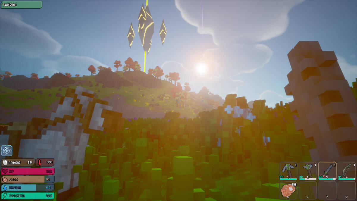 Скриншот 5 к игре SurvivalWorld