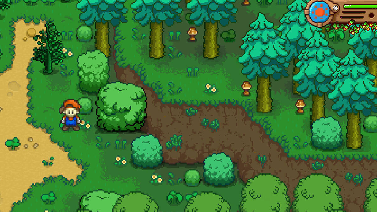 Скриншот 6 к игре AutumnLeaves Ranch