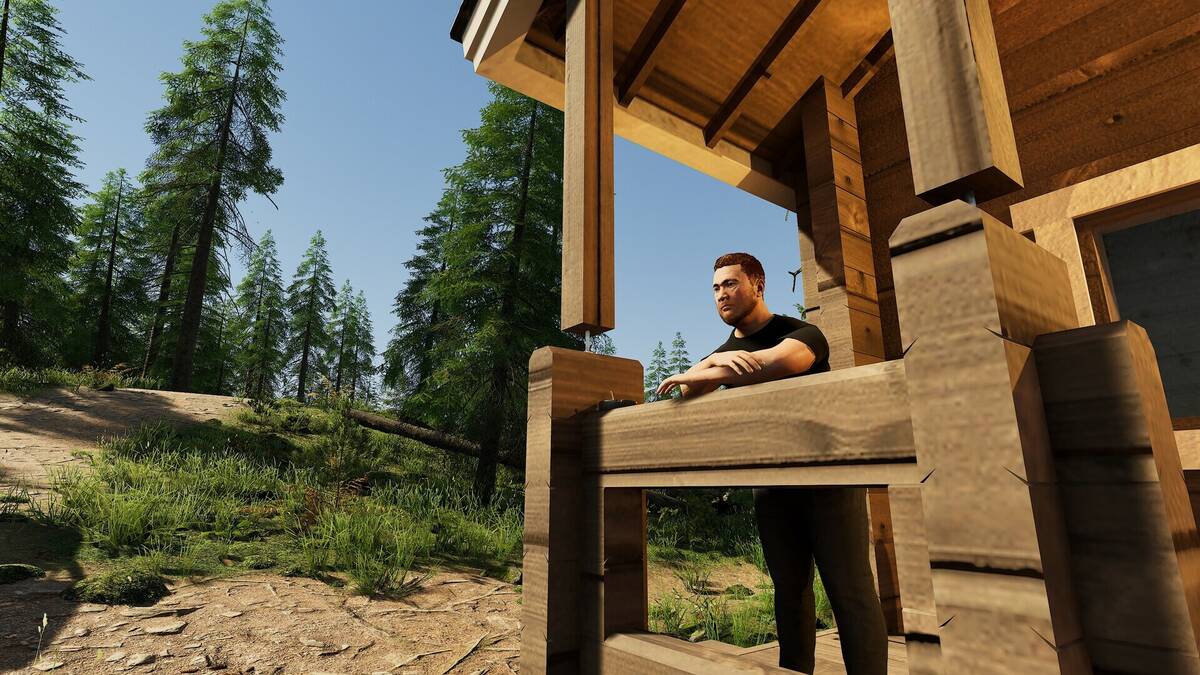 Скриншот 7 к игре Finnish Cottage Simulator