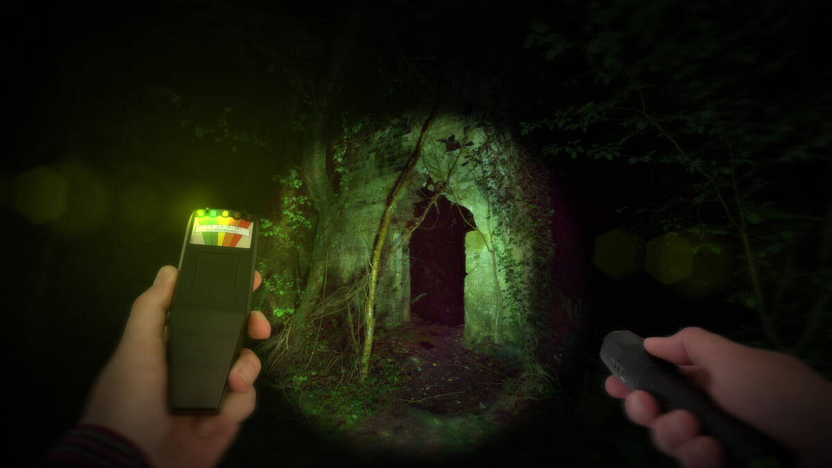 Скриншот 5 к игре Wychwood Hollow