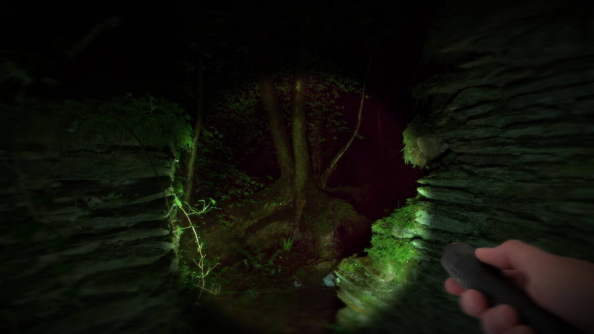 Скриншот 8 к игре Wychwood Hollow
