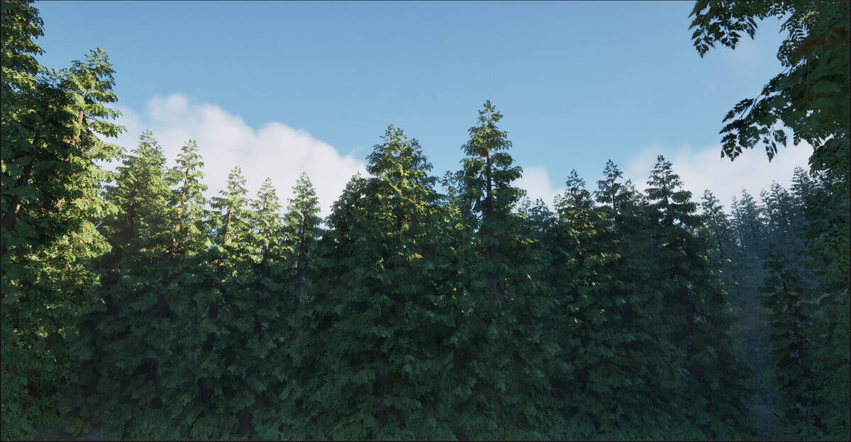 Скриншот 5 к игре In The Woods