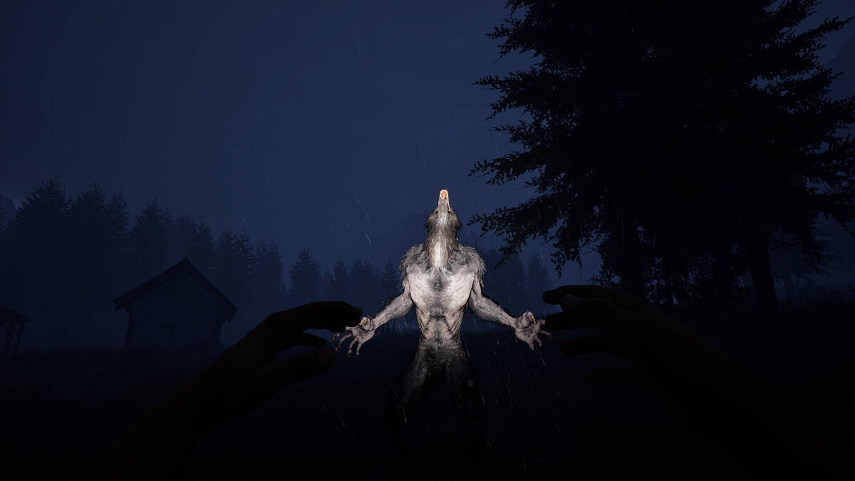 Скриншот 5 к игре WOLFMAN