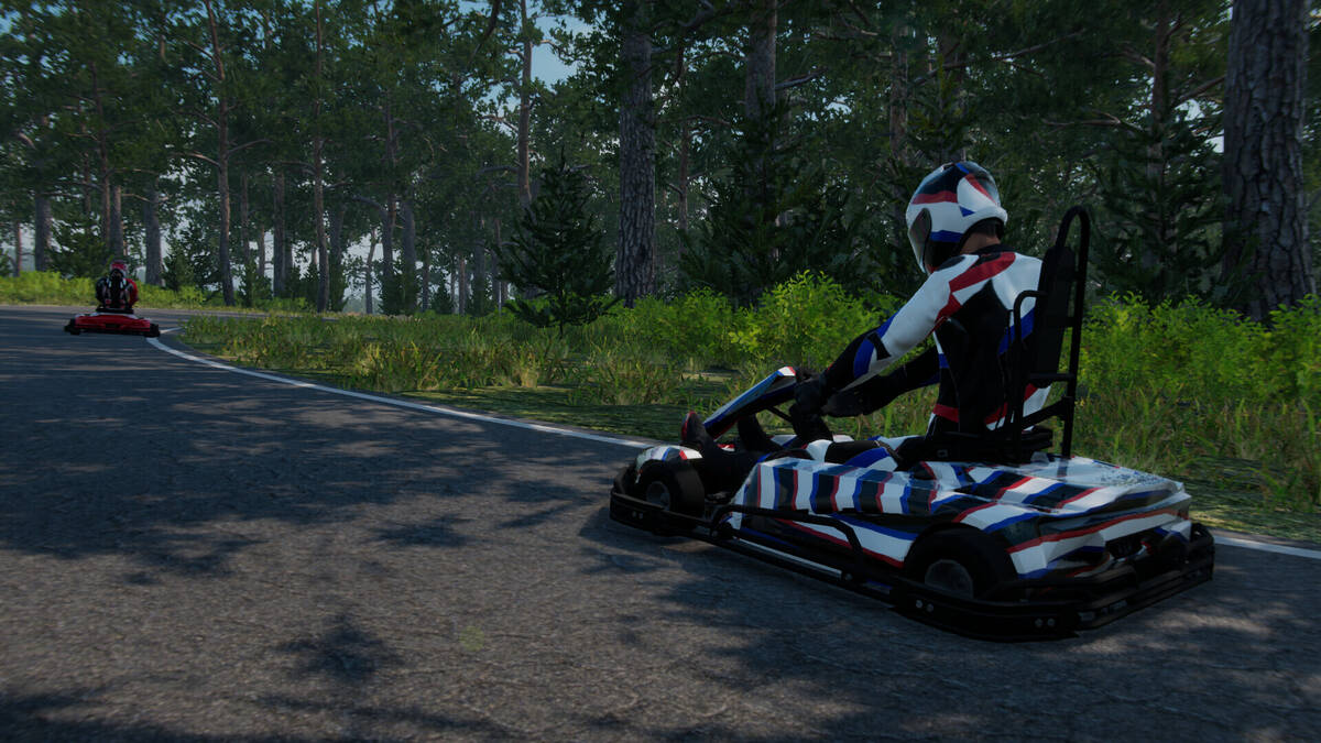 Скриншот 8 к игре Kart Evolution 2025