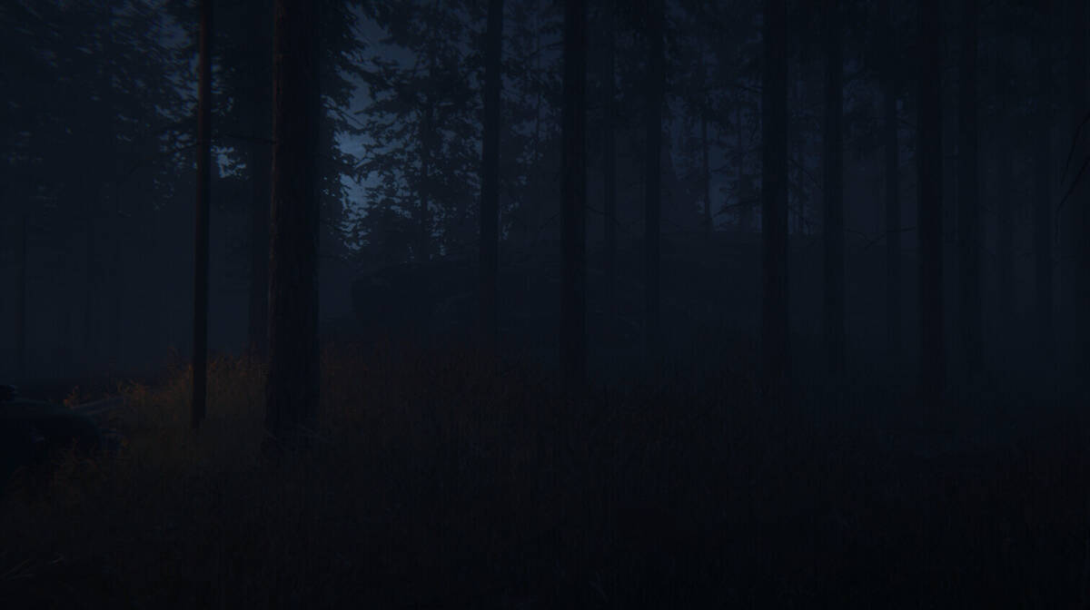 Скриншот 5 к игре The Cursed Ritual