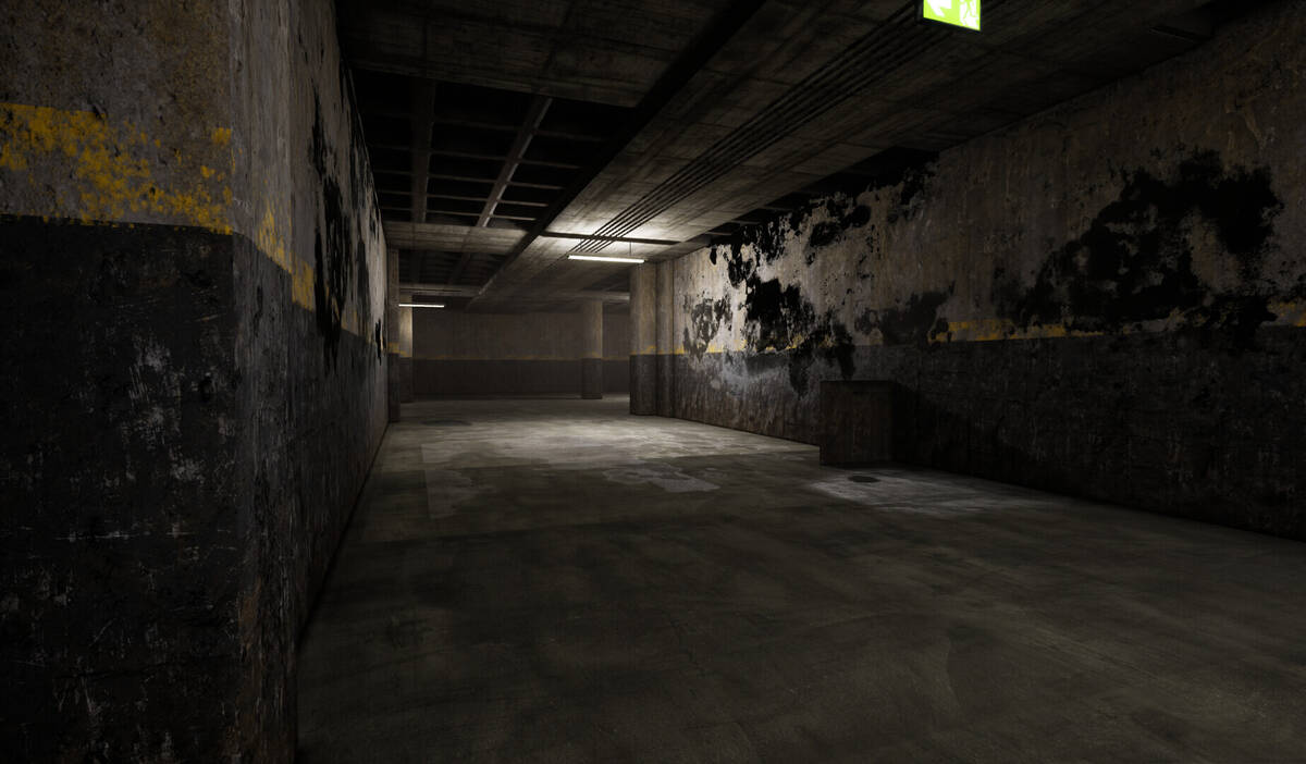 Скриншот 5 к игре The Abandoned Levels