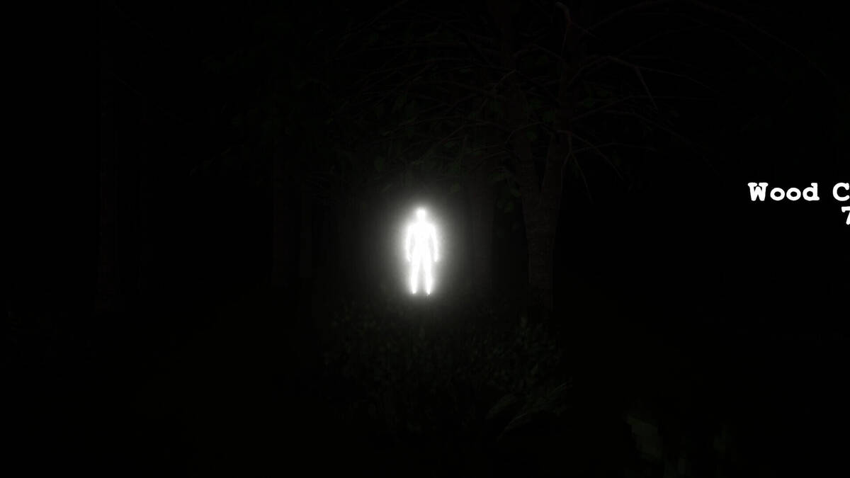 Скриншот 7 к игре Inside The Forest