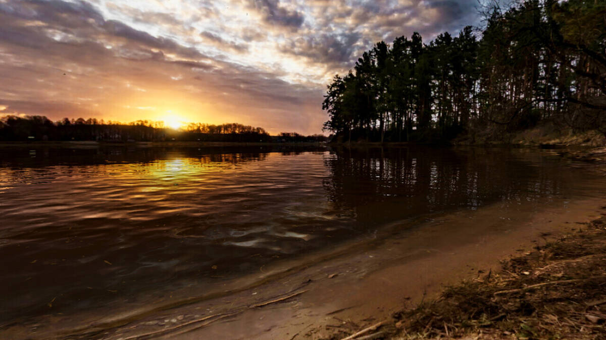 Скриншот 6 к игре AnglingTimes