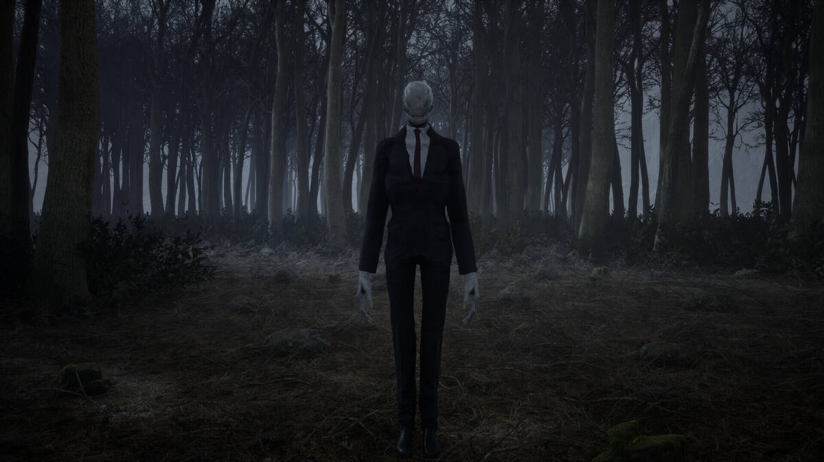 Скриншот 8 к игре Slender Reborn