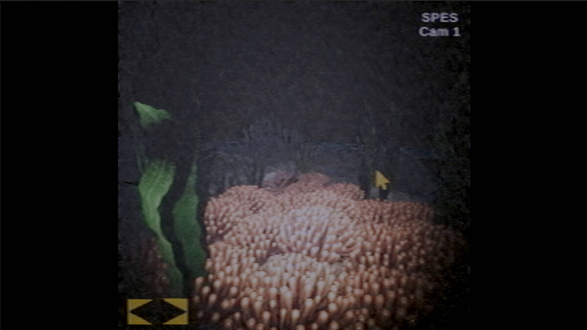 Скриншот 5 к игре Through The Murky Water