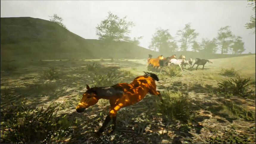 Скриншот 5 к игре Horse Evolutions