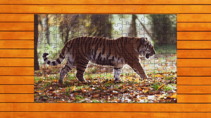Скриншот 6 к игре Big Cat Jigsaw Quest