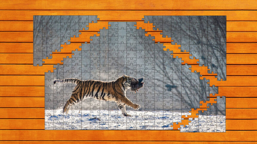 Скриншот 7 к игре Big Cat Jigsaw Quest