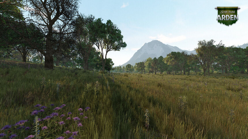 Скриншот 6 к игре Life is Feudal: Arden