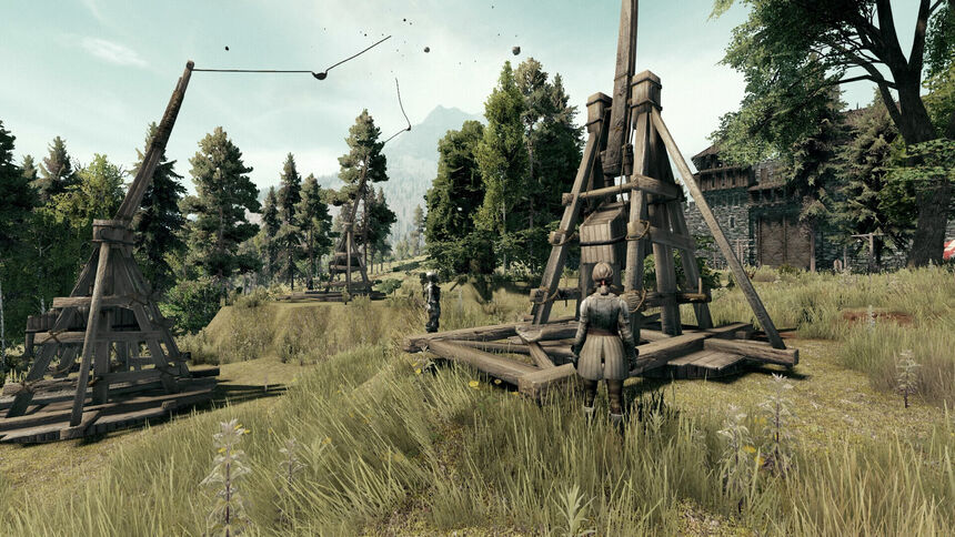 Скриншот 8 к игре Life is Feudal: Arden