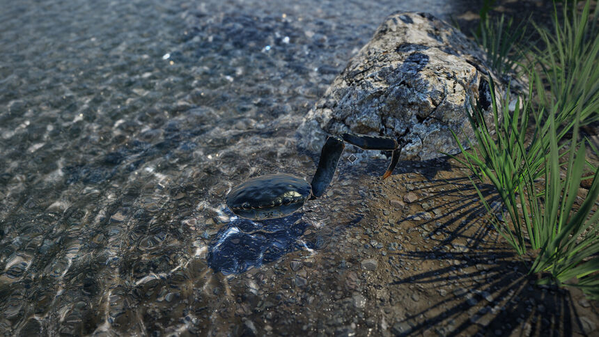 Скриншот 5 к игре Strong Crab