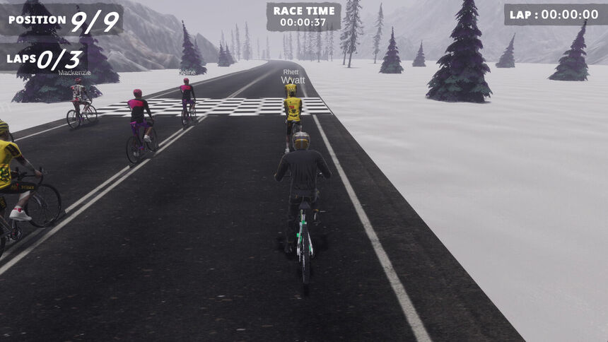 Скриншот 8 к игре Extreme Cycling