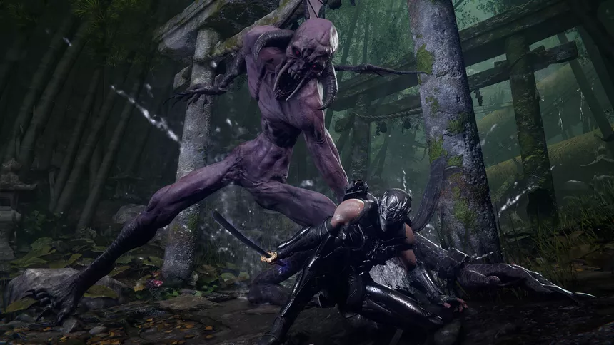 Скриншот 7 к игре NINJA GAIDEN 4