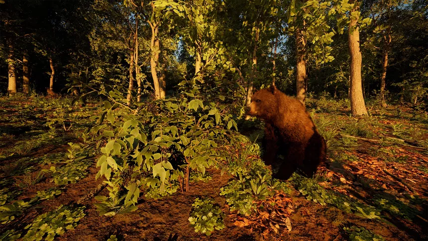 Скриншот 5 к игре Carpathian Survival