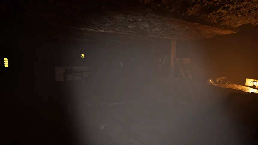 Скриншот 7 к игре Forest - The Call For Help