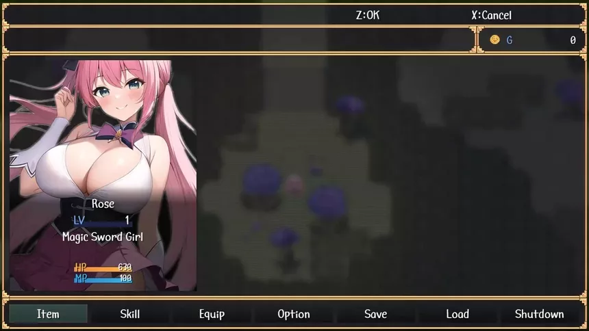 Скриншот 5 к игре Magic Sword Girl Twins
